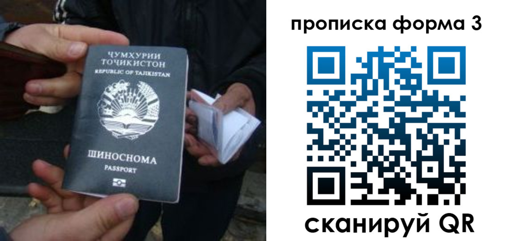 прописка 2025 в Городце